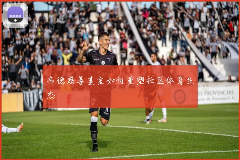 韦德慈善基金如何重塑社区体育生态